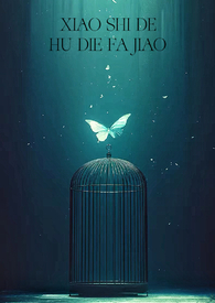 消失的蝴蝶发夹（H）